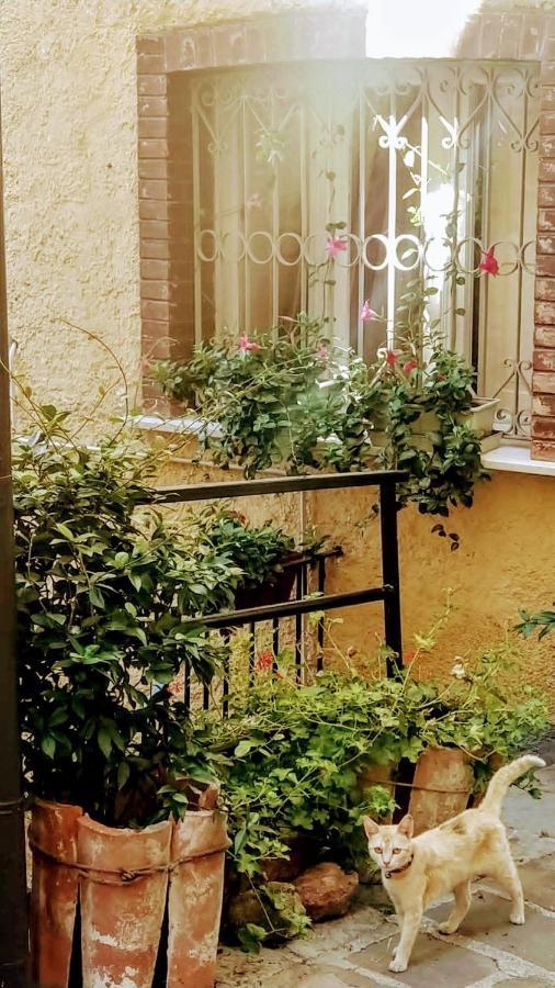 TrivignoCasa Gaia公寓 外观 照片
